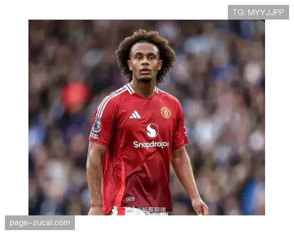 曼联前锋齐尔克泽或将于一月转会窗租借加盟意甲球队